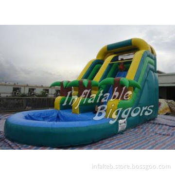 Garden Inflatable Giant Blow Up Water Slides , AU Inflatabl